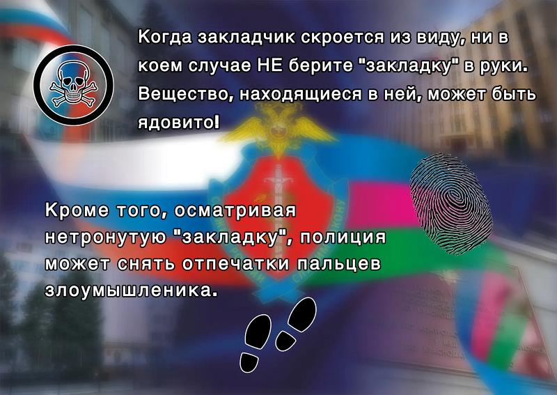 Изображение 8